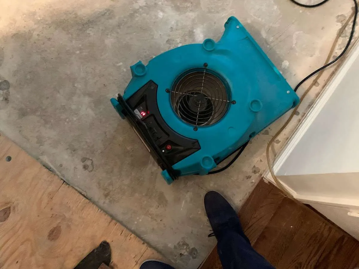 Air mover drying subfloor during Commercial Water Damage Restoration in Cotati